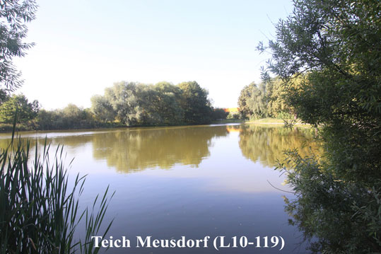 Teich Meusdorf